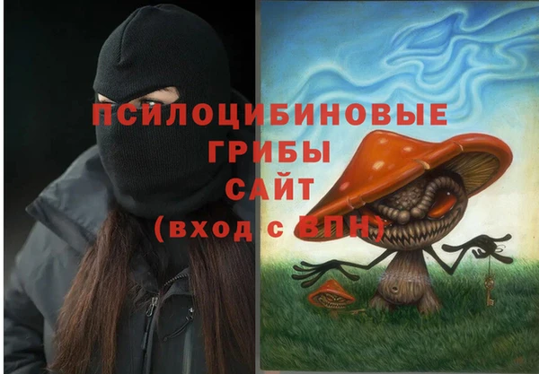 МДМА Инсар