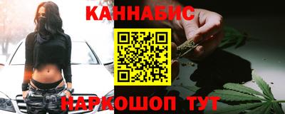 индика Бийск