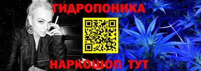 индика Бийск