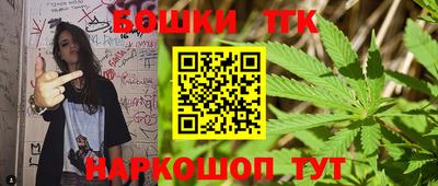 индика Бийск