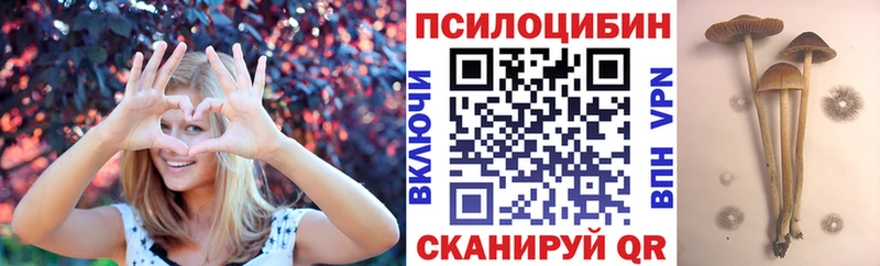 omg ССЫЛКА Нефтеюганск Галлюциногенные грибы Psilocybine cubensis цены