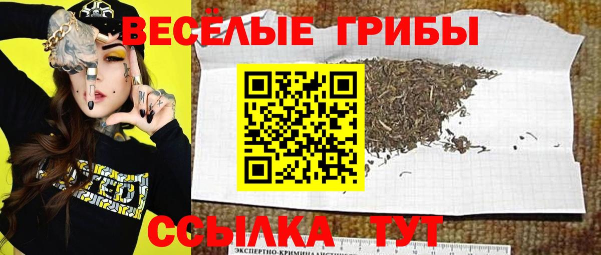 Нефтеюганск  Псилоцибиновые грибы Psilocybine cubensis  Псилоцибиновые грибы Cubensis  Вход с VPN 